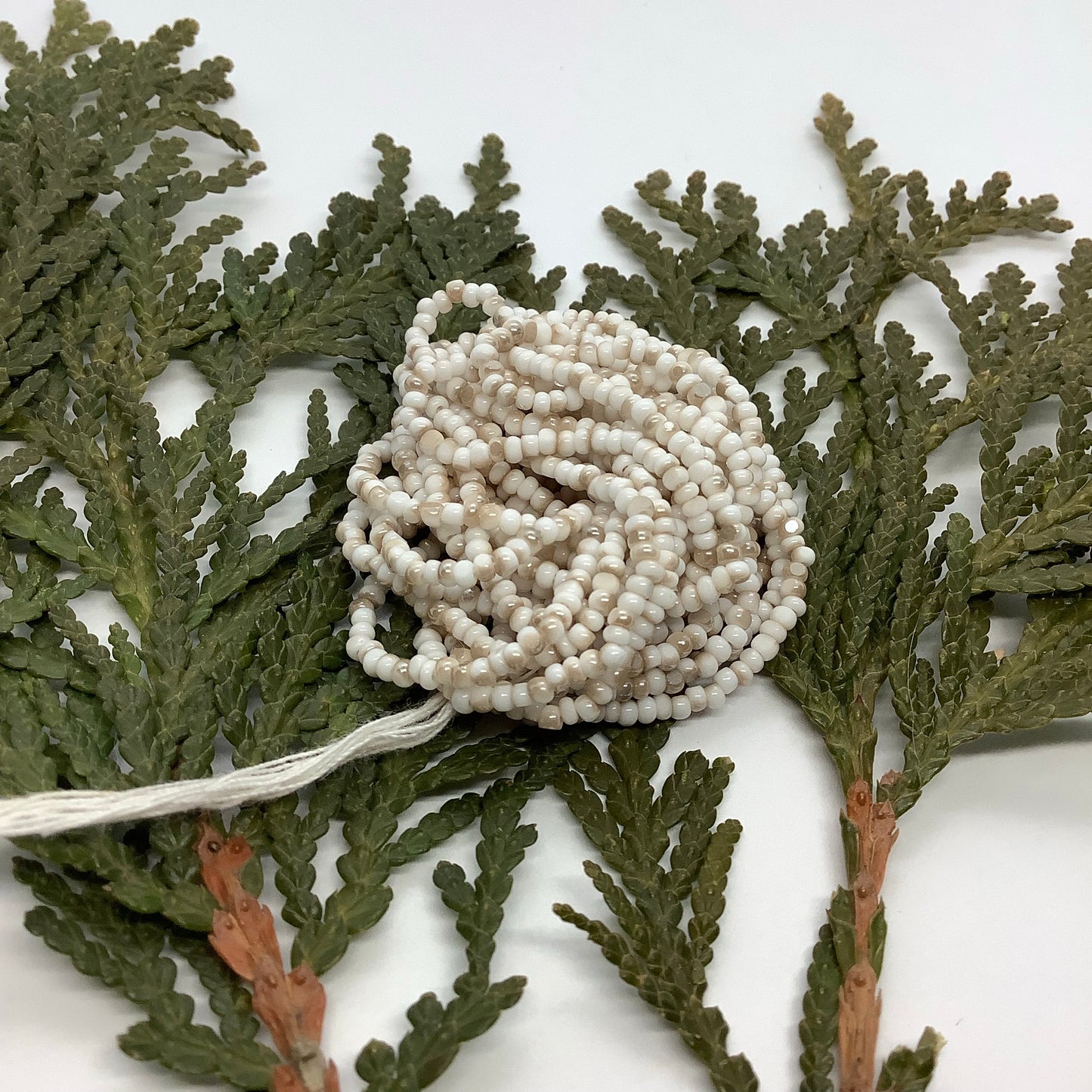 Patina Chalk White Golden Honey 11/0 Charlotte True-Cut