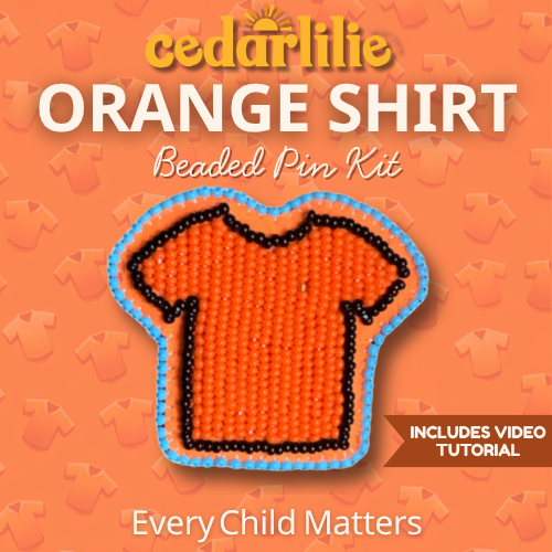 Orange Shirt Pin Kit