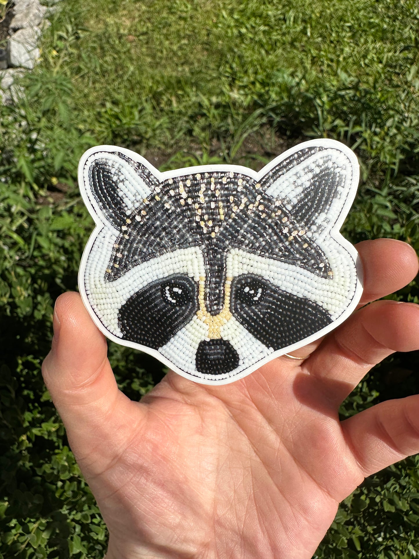 Raccoon Sticker